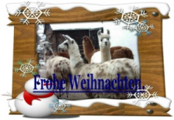 frohe weihnachten 05.JPG